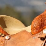 How to Tell the Age of a Bona Allen Saddle